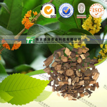 Manufacturer Supply Herb and Cosmetic Cassia Twig